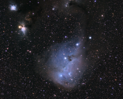 Dreyer's Nebula (IC 447) by Phil Creed <br>February 3, 2024 <br>ZWO ASI533MC-Pro + HEQ5 mount + Tele Vue NP101 <br> <a href="https://www.astrobin.com/v5xr25/ ">https://www.astrobin.com/v5xr25/ </a>