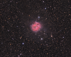 Cocoon Nebula (IC5146) by Phil Creed<br>November 15, 2023 <br>ZWO ASI533MC-Pro + HEQ5 mount + Tele Vue NP101 <br><a href="https://www.astrobin.com/q8vny9/B/ ">https://www.astrobin.com/q8vny9/B/ </a>