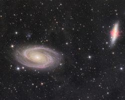 M81 & M 82 (Cigar Galaxy and Bode's Galaxy) by Lena Olsen<br>March and April 2025<br>Apertura CarbonStar 150 Imaging Newtonian<br>QHYCCD QHY183M Camera<br>Sky-Watcher EQ5 Pro Mount