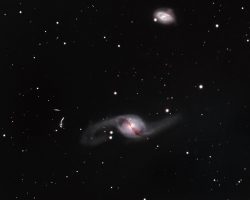NGC3718 Galaxy By Bob Rossiter <br>Celestron 8" HD Edge with .7 reducer <br>Camera ZWO 2600MC Pro Guided with ZWO 120mm-s & 30mm guide scope and ZWO ASIair <br>ZWO AM5 mount 77 <br>300 second exposures (6:25 hrs.)